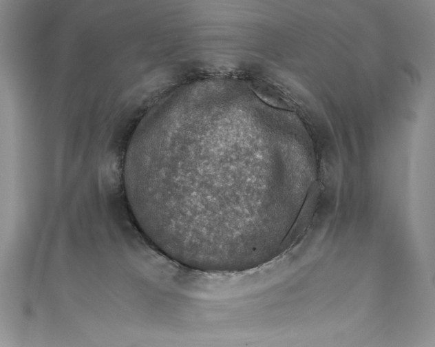 X0000110890037200907091404