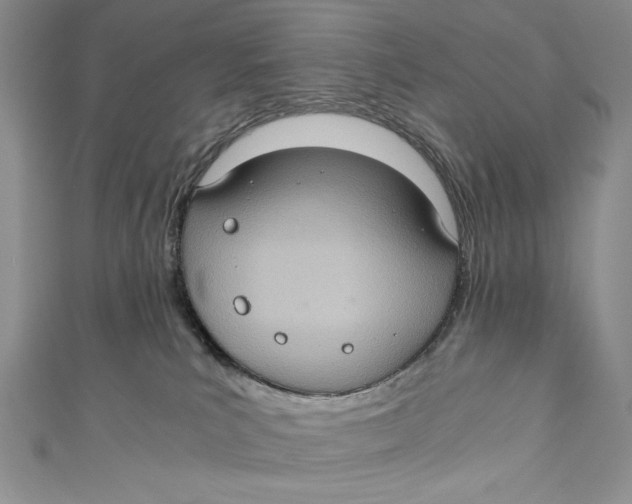 X0000110890039200907091404