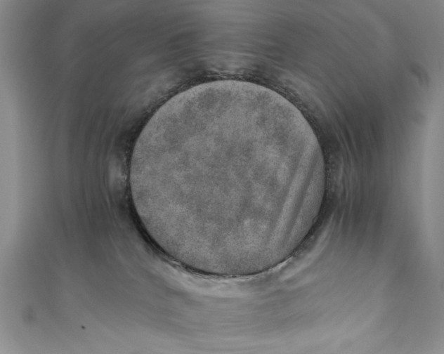 X0000110890040200907091404