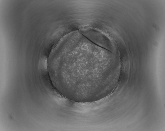 X0000110890041200907091404