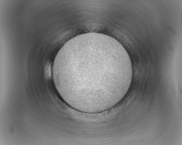 X0000110890042200907091404