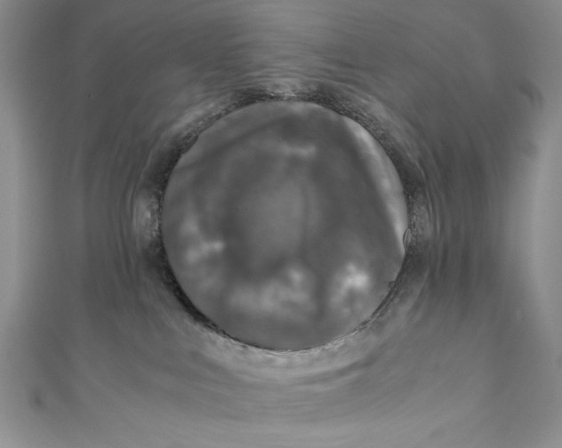 X0000110890043200907091404