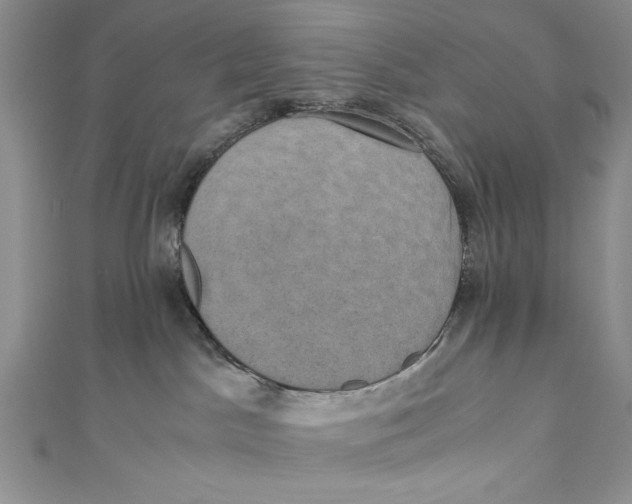 X0000110890045200907091404