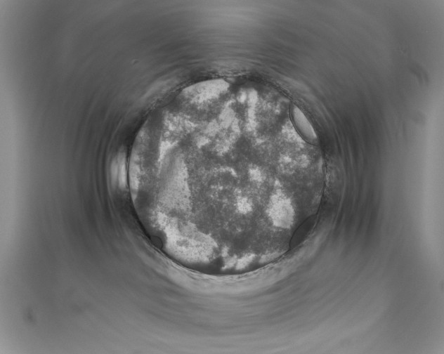 X0000110890046200907091404