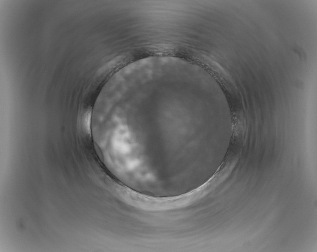 X0000110890047200907091404