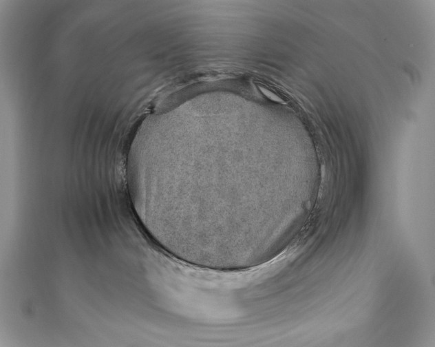 X0000110890048200907091404