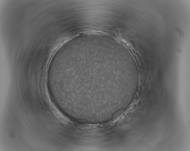 X0000110890049200907091403