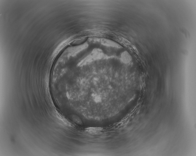 X0000110890051200907091403