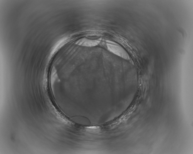 X0000110890053200907091403