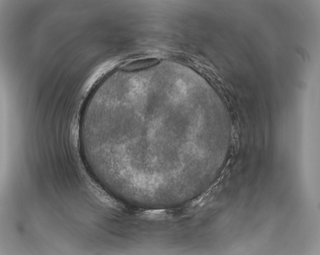 X0000110890054200907091403