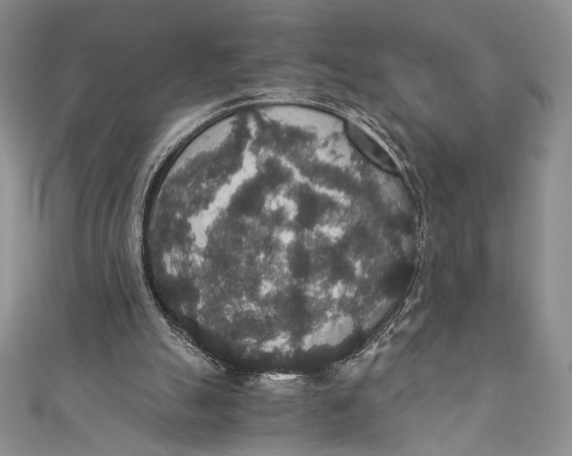 X0000110890055200907091403