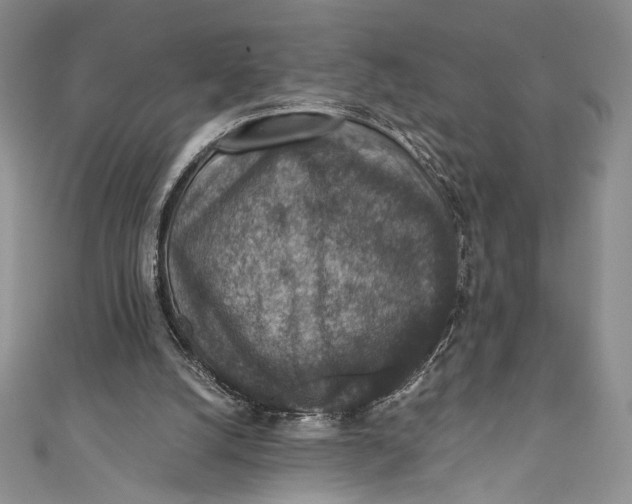 X0000110890056200907091403