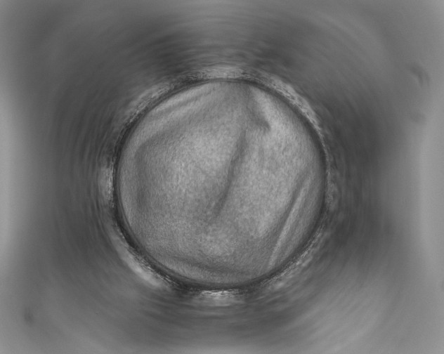 X0000110890057200907091403