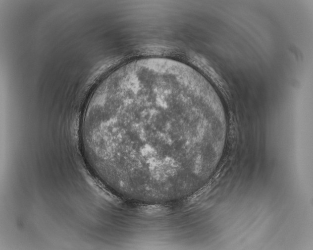 X0000110890058200907091403