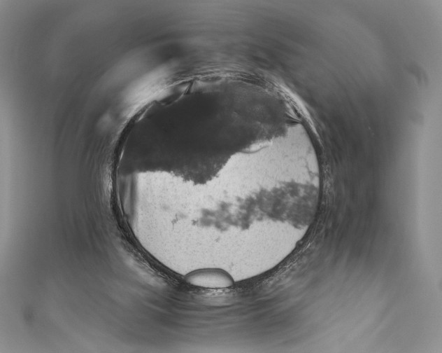 X0000110890059200907091403