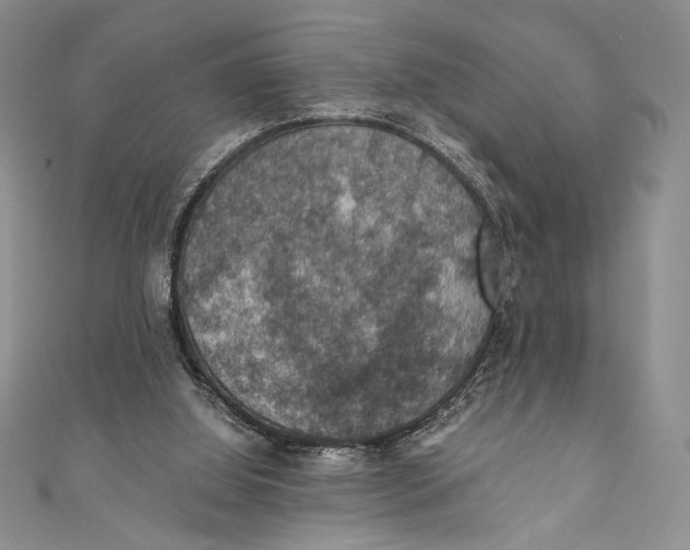 X0000110890060200907091403