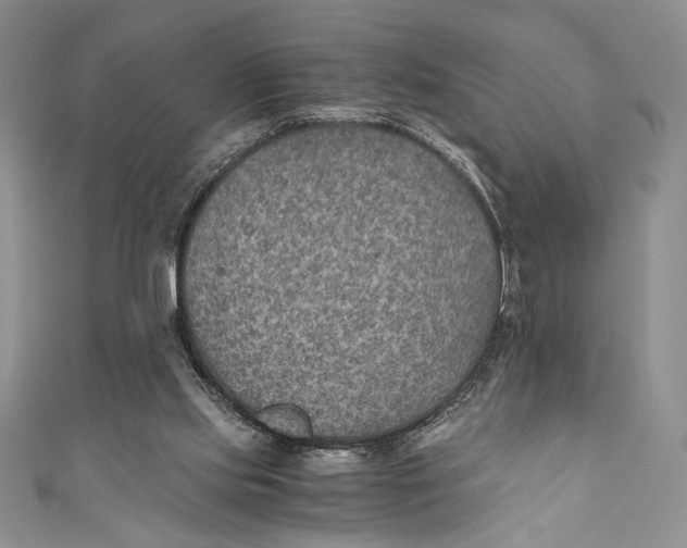 X0000110890061200907091403