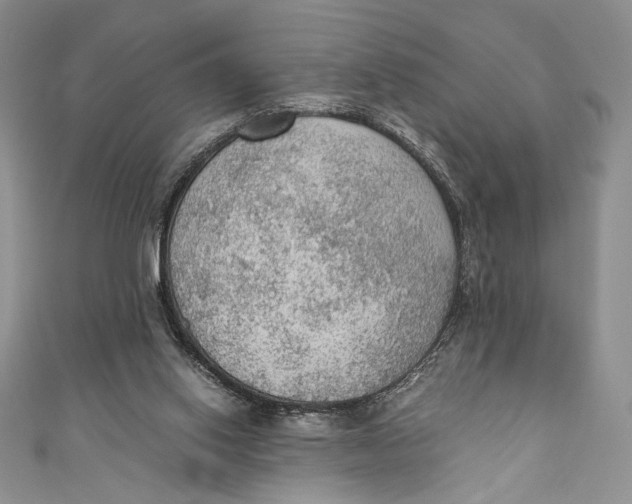 X0000110890062200907091403