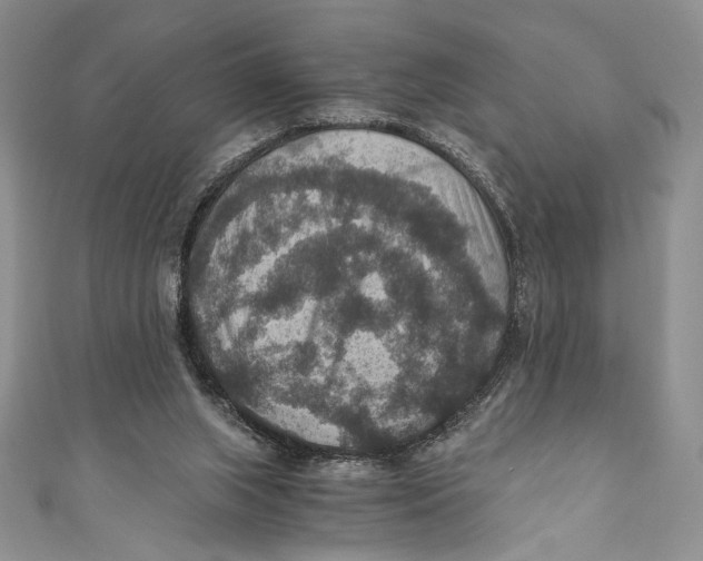 X0000110890063200907091403