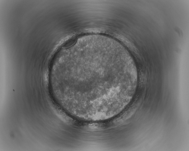 X0000110890064200907091403