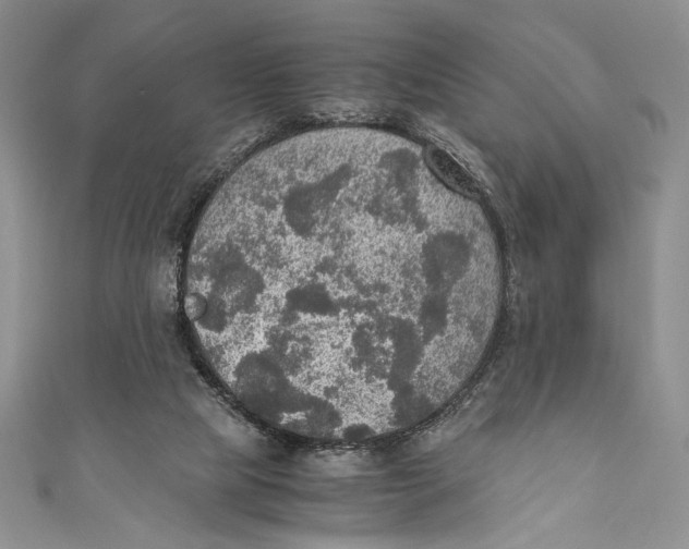 X0000110890065200907091403