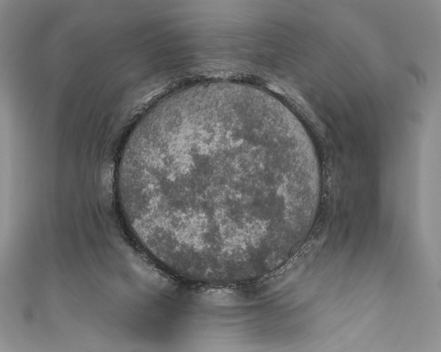 X0000110890066200907091403