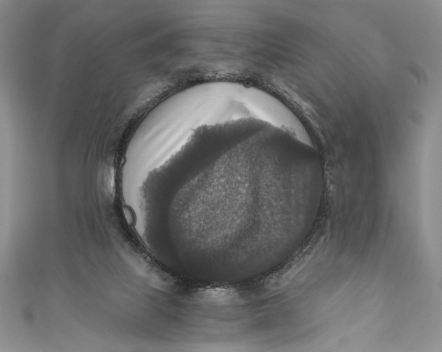 X0000110890067200907091403