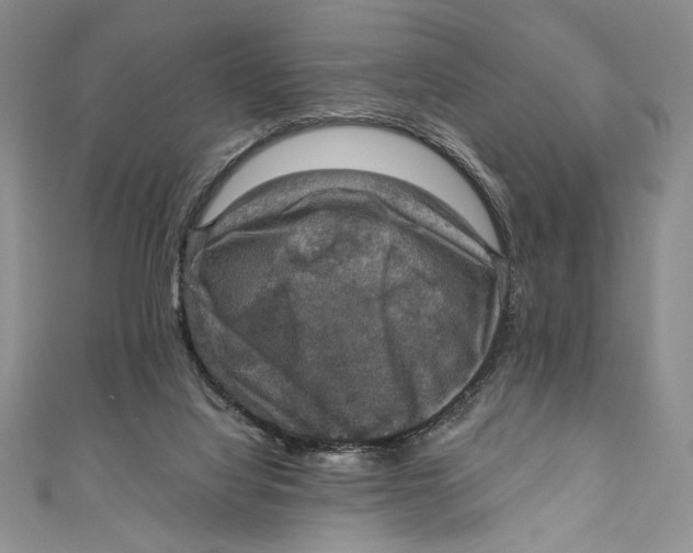 X0000110890068200907091403