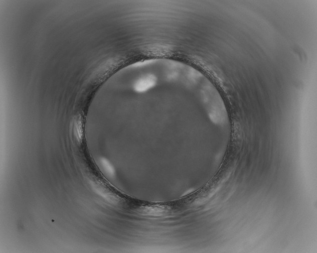 X0000110890069200907091403