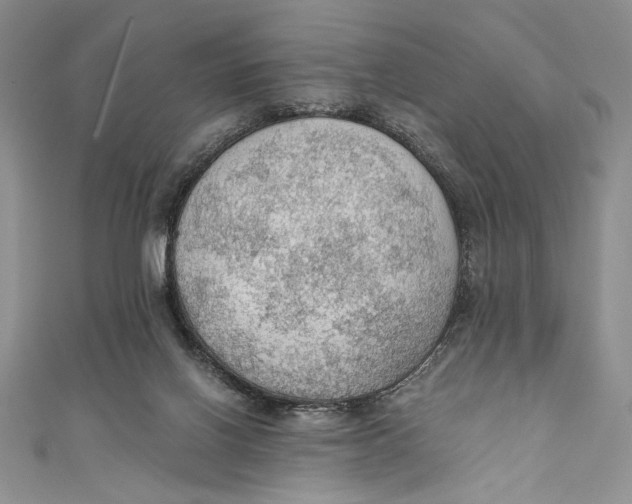 X0000110890070200907091403