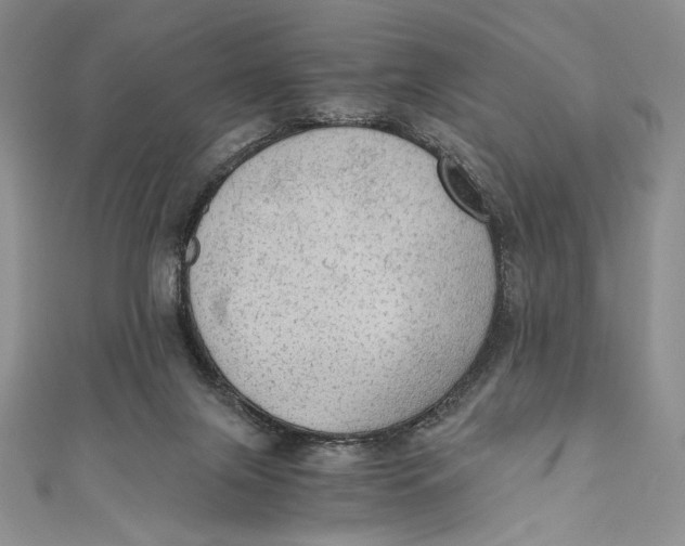 X0000110890071200907091403