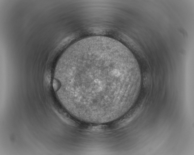 X0000110890072200907091403