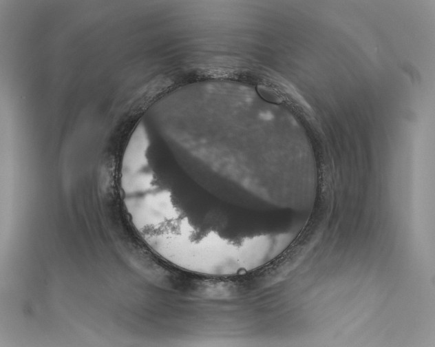 X0000110890073200907091403