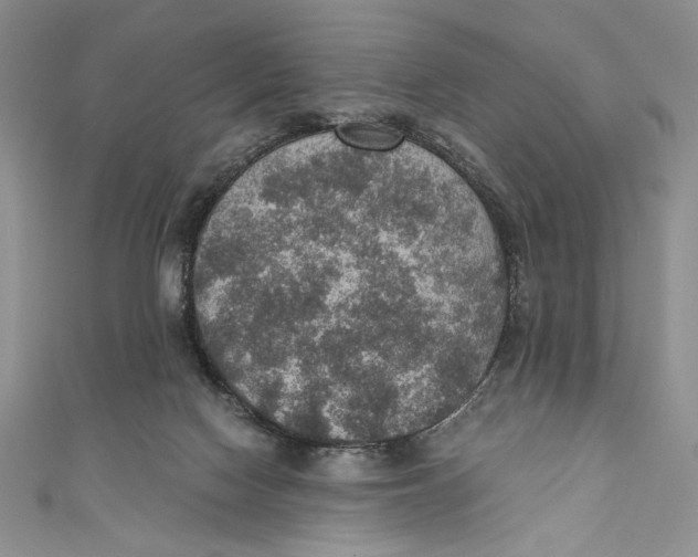 X0000110890074200907091403