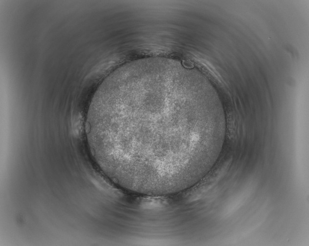 X0000110890077200907091403