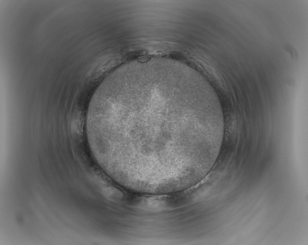 X0000110890078200907091403