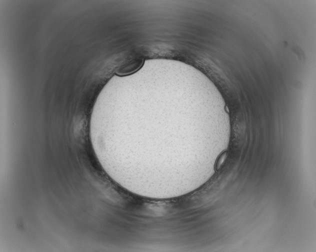 X0000110890079200907091403