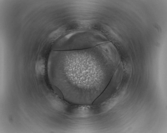 X0000110890080200907091403