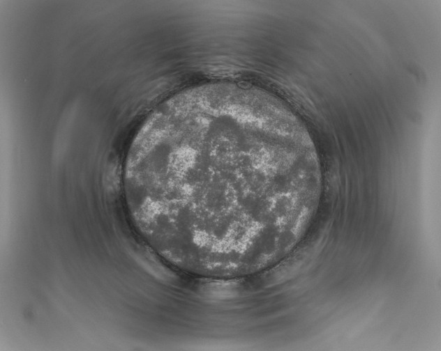 X0000110890081200907091403