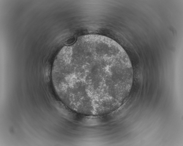 X0000110890082200907091403