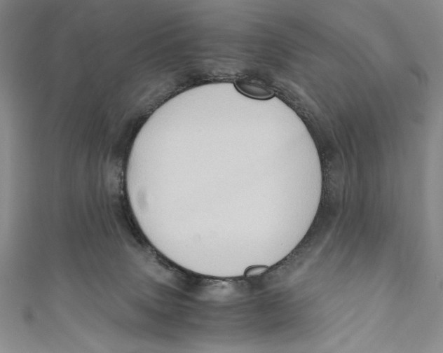 X0000110890083200907091403