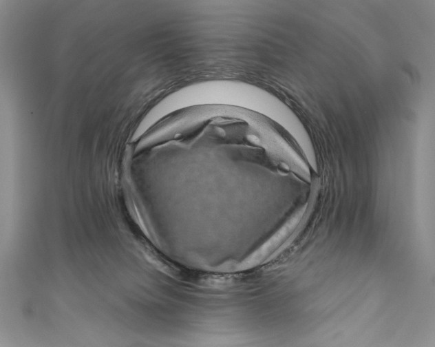 X0000110890084200907091403