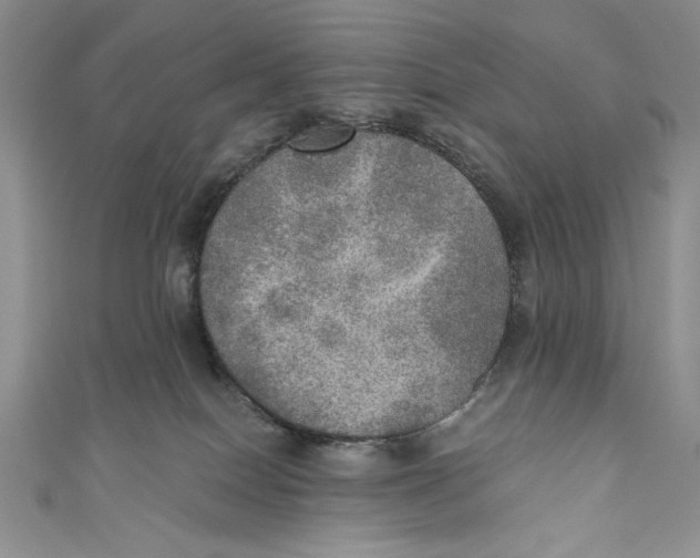 X0000110890086200907091403