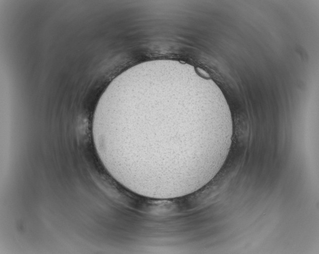 X0000110890087200907091403