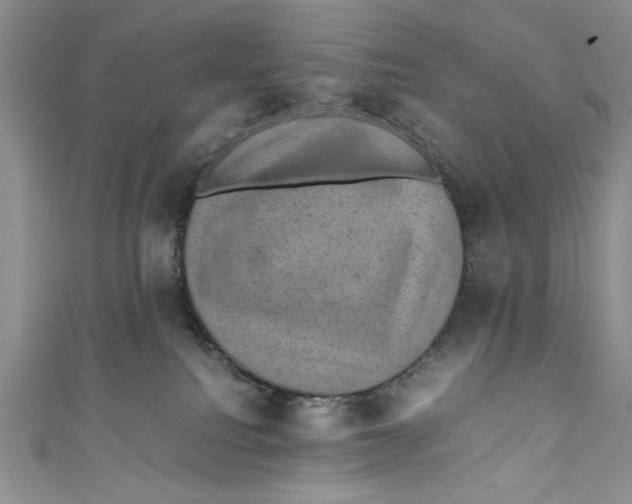 X0000110890088200907091403