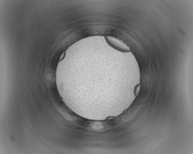 X0000110890091200907091403