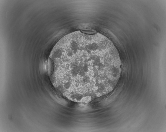 X0000110890095200907091403