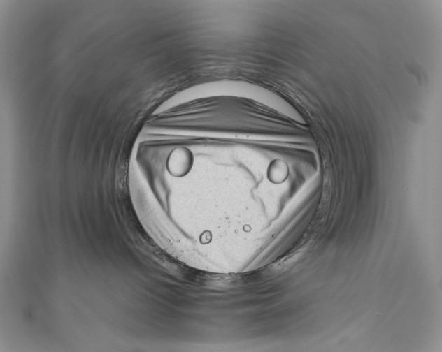 X0000110890096200907091404