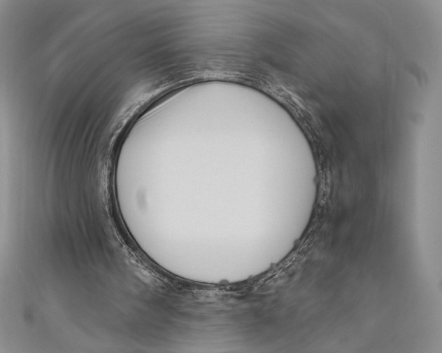 X0000110890098200907091403