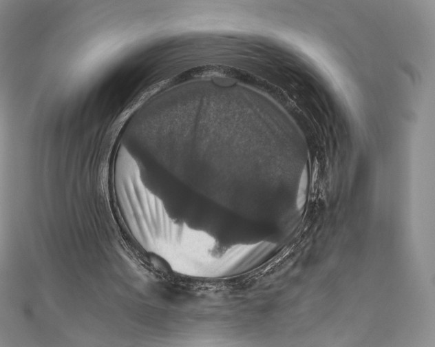 X0000110890099200907091403